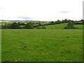 Lisky Glebe Townland