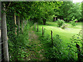 Path climbing the North Downs