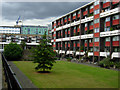 Golden Lane Estate