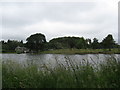 View across the Priory Pond