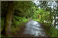 Perimeter path of Edgbaston Reservoir