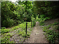 Footpath on the North Downs