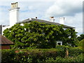 House at Westcott, Surrey