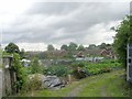 Allotments - Altofts Hall Road