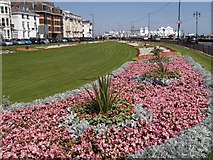 SZ6498 : Flowerbeds along Southsea seafront (2007) by Barry Shimmon