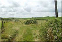 SH2986 : Track and coastal path junction south of Penterfyn by Eric Jones