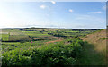 Hedleyhope Fell Nature Reserve