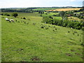 River Kennet valley at Stitchcombe (1)