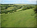 River Kennet valley at Stitchcombe (2)