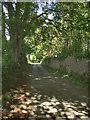 SS8878 : Lane amidst trees north of Merthyr Mawr by eswales