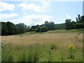 No Play Today! - Former Cricket Pitch - Pool Road