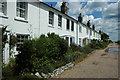 Terrace houses, Kingsdown