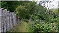 Footpath at Sewards Copse