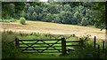 Footpath leaves Sewards Copse near Fernhurst