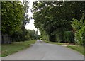 The road to Great Saxham from the southern approach