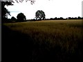 Fields near Hurstpierpoint