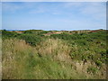 Path through Open Access Land east of Port Amlwch