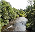 River Tame