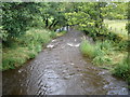 Gryfe Water from Netherwood Bridge