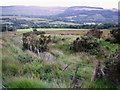 View from Twyn Eithinog towards Hirfynydd