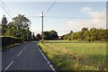 Nine Ashes Road at Paslow Wood Common