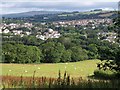 Field and view, Ivybridge (2)