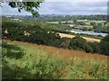 Field and view, Ivybridge (3)