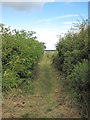 View of Footpath to Meols