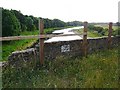 River Eden, downstream from Waverley Viaduct