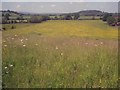 Farmland west of Hartpury