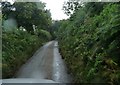 Dartmoor National Park : Country Road