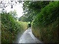 Dartmoor National Park : Country Road