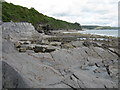 Cliffs & Foreshore, Wiseman