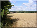 Farmland off the B556 Mutton Lane, Potter Bar