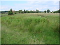 Old Moat ,  Near Priory Farm