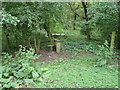 Stile  into Woods, near the Entrance to Priory Farm