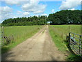 Farm Track, Foxcovert Farm