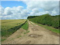 Farm Track, Painslack Farm