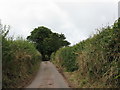 Back Lane To Hundleton