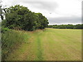 Trans-Bridleway Footpath