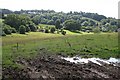 The Valley around Pool Mill Farm