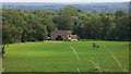 Field in Blackdown Park