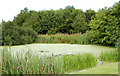 Pond beside Middle Farm house, Newbold Grounds