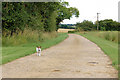 Track east of Middle Farm, Newbold Grounds