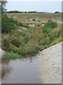 Culverted stream on Goss Moor