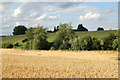 Beside the infant River Leam near Staverton