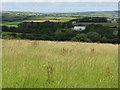 Fields Near Portfield Gate