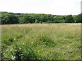 Footpath Somewhere In The Fields, Hook