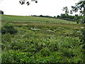 Hillside At Hook Bridge