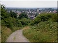 The Chalkland Way into Pocklington